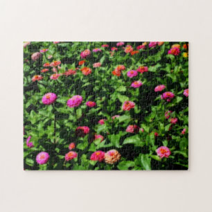 Veld met Zinnia Bloemen Orton Art Effect Legpuzzel