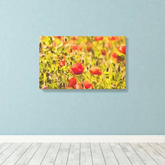 Veld papaver canvas afdruk (Insitu (Houten vloer))