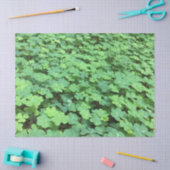 veld van klaverpapier tissuepapier (Craft)