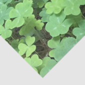 veld van klaverpapier tissuepapier (Detail)