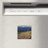 veld van lupine, Mt. Olympus, en wolken bij Magneet (Insitu (Vaatwasser))