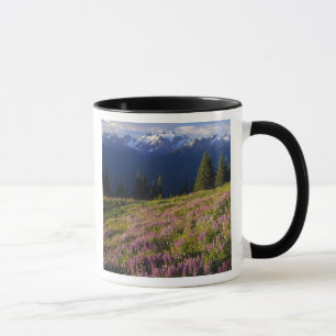 Veld van lupine, Mt. Olympus, en wolken bij Mok