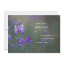 Veld van Lupine RSVP