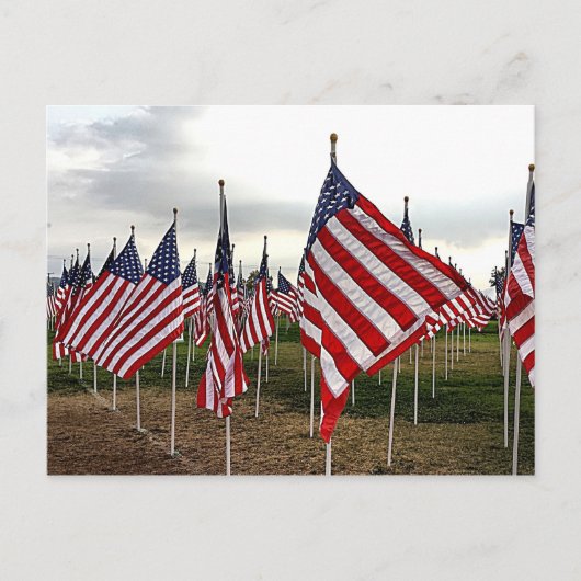Veld van vlaggen - Patriottische Amerikaanse vlagg Briefkaart (Voorkant)