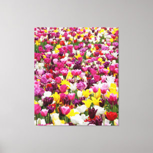Veld vol tulpen canvas afdruk