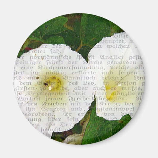 Veldbindweed Collage Magneet (Voorkant)