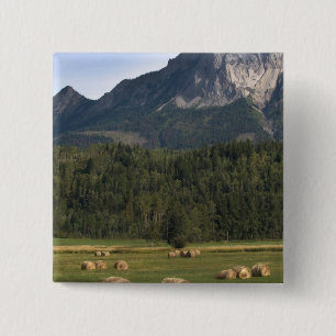 Velden met gehooid hooi, Alberta, Canada Vierkante Button 5,1 Cm