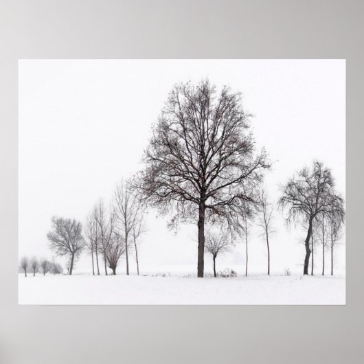 Velden rond Scalenghe | Piemonte, Italië Poster (Voorkant)