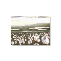 Velden van Arctic Cotton: Canvas Standaard