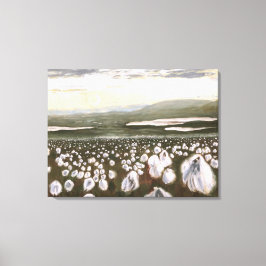 Velden van Arctic Cotton: Canvas Standaard Afdruk