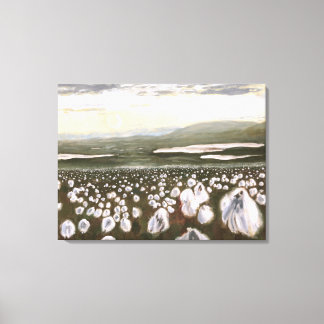 Velden van Arctic Cotton: Canvas Standaard Afdruk