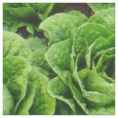 veldfotoweefsel van rotsla stof (Close Up)