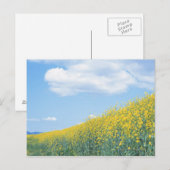 Veldmosterd Briefkaart (Voorkant / Achterkant)