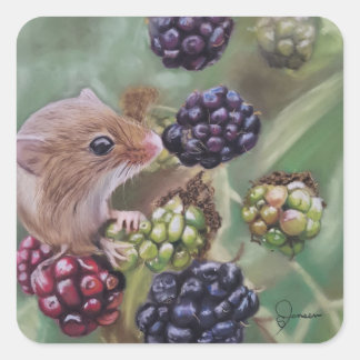 Veldmuis en bessen sticker