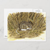 Veldmuisbriefkaart Briefkaart (Voorkant / Achterkant)