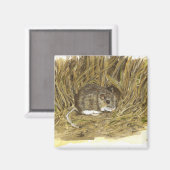 veldmuismagneet magneet (Voorkant / Achterkant)