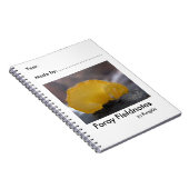 Veldnaturalistisch notebook van Fungi0z Notitieboek (Rechterzijde)