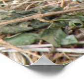 Veldrikafdrukken voor wilde ritten poster (Hoek)