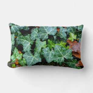 Veldstenen, vijg, tuinmuur, botanisch decor kussen