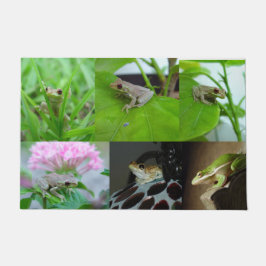 Vele baby boomkikkers deurmat