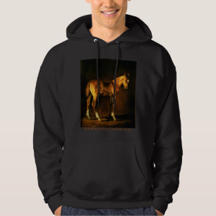 Vele kleuren hoodie
