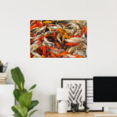 Vele koi carp multicolor poster (Thuiskantoor)