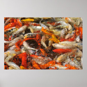 Vele koi carp multicolor poster