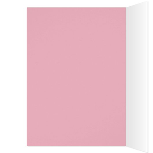 Vélo rose (Intérieur (Gauche))