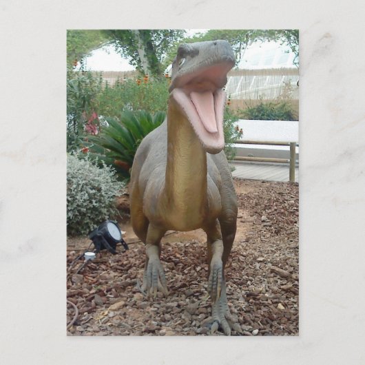 Velociraptor Dinosaur Briefkaart (Voorkant)