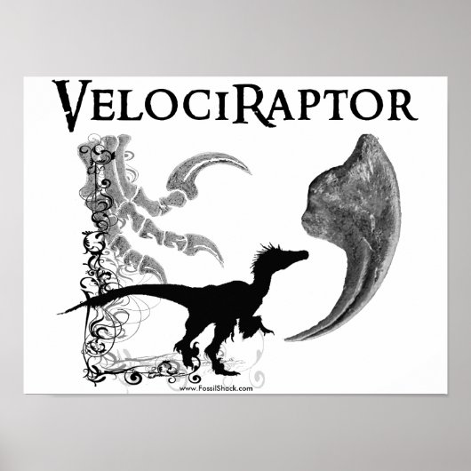 Velociraptor Poster (Voorkant)