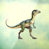 Velociraptor  raamsticker (Vel 3)