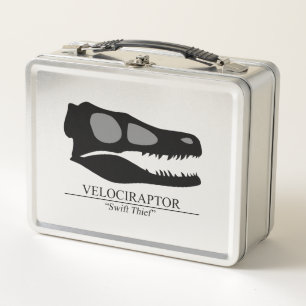 Velociraptor Skull
