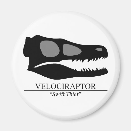 Velociraptor Skull Magneet (Voorkant)