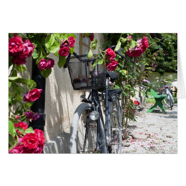 Vélos et roses en Suède (Devant horizontal)