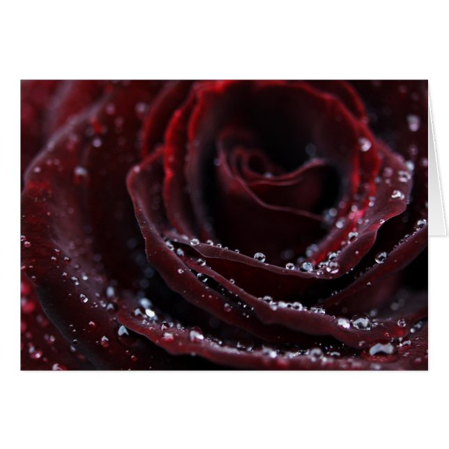 Velours rouge (Devant horizontal)