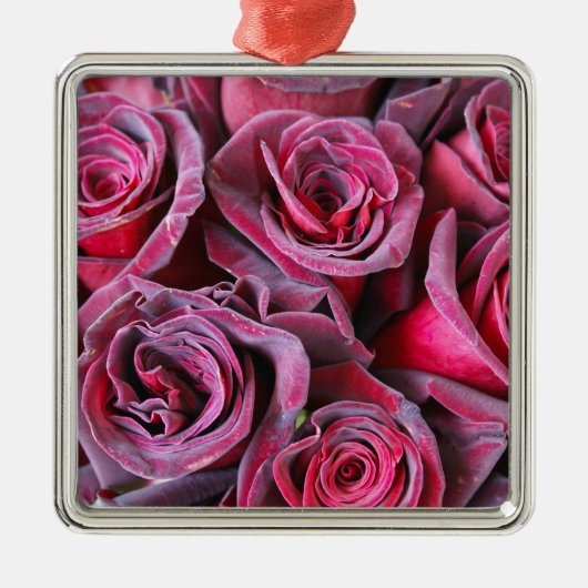 Velvet Beauty Metalen Ornament (Voorkant)