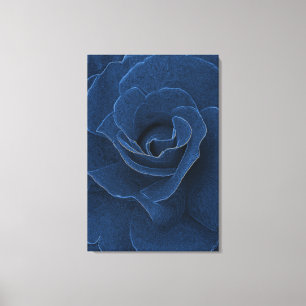 Velvet blue roos canvas afdruk