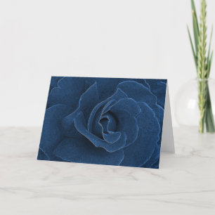 Velvet blue roos kaart