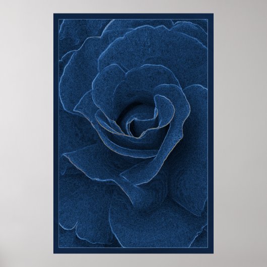 Velvet blue roos poster (Voorkant)