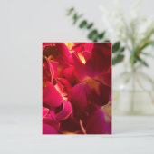 Velvet Briefkaart (Staand voorkant)