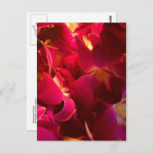 Velvet Briefkaart (Voorkant / Achterkant)