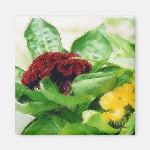 Velvet Floral Magneet