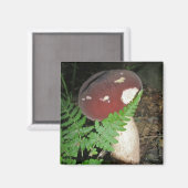 Velvet Mushroom Magnet Magneet (Voorkant / Achterkant)