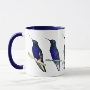 Velvet-Purple Coronet Kolibrie Mok