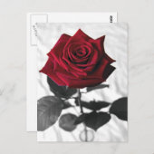 VelvetRose Briefkaart (Voorkant / Achterkant)