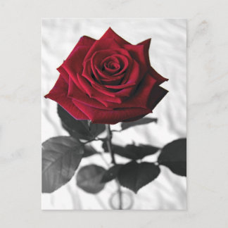 VelvetRose Briefkaart