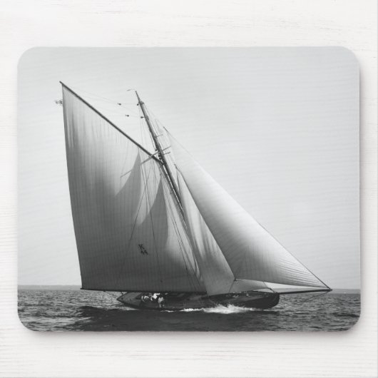 Vencedor: 1897 muismat (Voorkant)