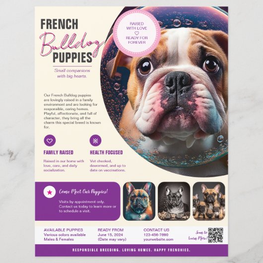 Vendre des chiots Flyer  (Devant)