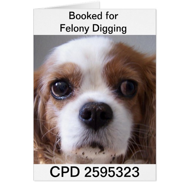 Vendredi Mug Shot (Devant)