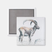 Venerando Stambecco 2006 Magneet (Voorkant / Achterkant)